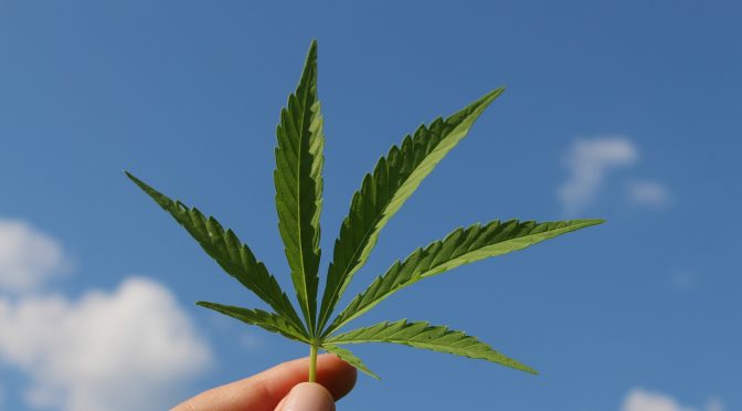 Ús terapèutic del cànnabis